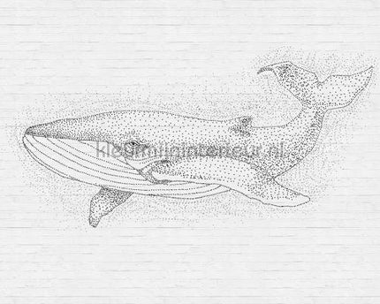 AS Creation Walls by Patel dd110476 | Bestellen bij https://www.kleurmijninterieur.nl/
