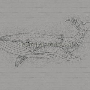 AS Creation Walls by Patel dd110481 | Bestellen bij https://www.kleurmijninterieur.nl/