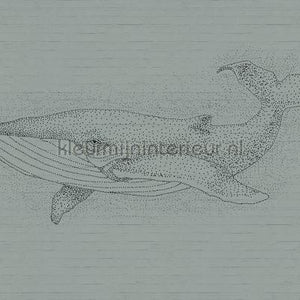 AS Creation Walls by Patel dd110486 | Bestellen bij https://www.kleurmijninterieur.nl/