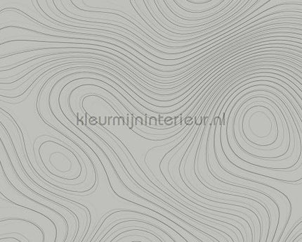 AS Creation Walls by Patel dd110851 | Bestellen bij https://www.kleurmijninterieur.nl/