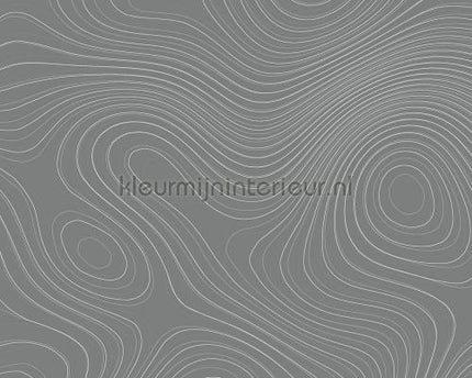 AS Creation Walls by Patel dd110856 | Bestellen bij https://www.kleurmijninterieur.nl/