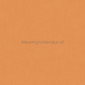 AS Creation Dream Flowery 383266 | Bestellen bij https://www.kleurmijninterieur.nl/