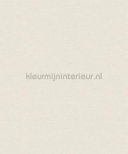 AS Creation Retro chiq 30688-1 | Bestellen bij https://www.kleurmijninterieur.nl/