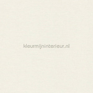 AS Creation Retro chiq 30689-1 | Bestellen bij https://www.kleurmijninterieur.nl/