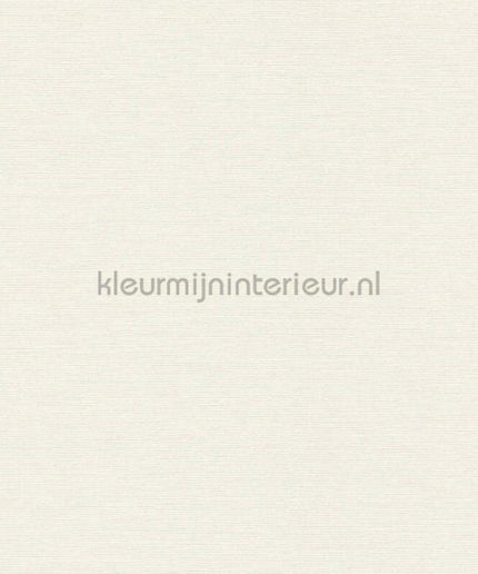 AS Creation Retro chiq 30689-1 | Bestellen bij https://www.kleurmijninterieur.nl/