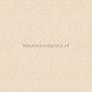 AS Creation Retro chiq 30689-6 | Bestellen bij https://www.kleurmijninterieur.nl/