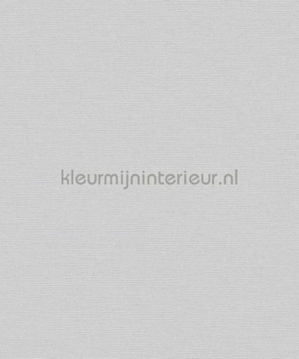 AS Creation Retro chiq 38903-2 | Bestellen bij https://www.kleurmijninterieur.nl/