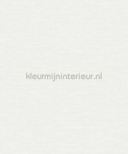 AS Creation Retro chiq 38903-3 | Bestellen bij https://www.kleurmijninterieur.nl/
