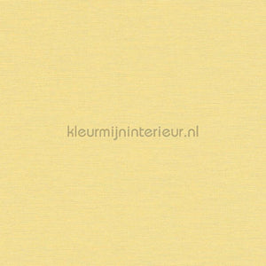AS Creation Retro chiq 38903-6 | Bestellen bij https://www.kleurmijninterieur.nl/
