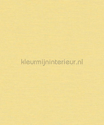 AS Creation Retro chiq 38903-6 | Bestellen bij https://www.kleurmijninterieur.nl/