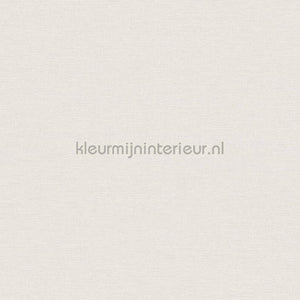 AS Creation Retro chiq 38904-3 | Bestellen bij https://www.kleurmijninterieur.nl/
