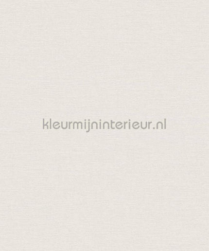 AS Creation Retro chiq 38904-3 | Bestellen bij https://www.kleurmijninterieur.nl/