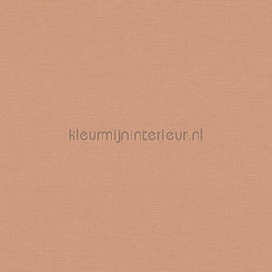AS Creation Retro chiq 39097-3 | Bestellen bij https://www.kleurmijninterieur.nl/