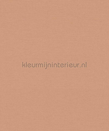AS Creation Retro chiq 39097-3 | Bestellen bij https://www.kleurmijninterieur.nl/