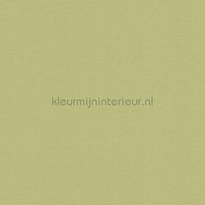 AS Creation Retro chiq 39097-4 | Bestellen bij https://www.kleurmijninterieur.nl/