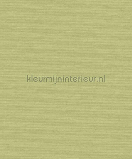 AS Creation Retro chiq 39097-4 | Bestellen bij https://www.kleurmijninterieur.nl/