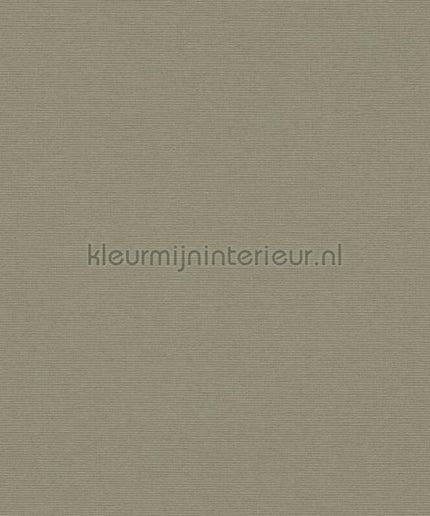 AS Creation Retro chiq 39097-5 | Bestellen bij https://www.kleurmijninterieur.nl/