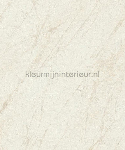 AS Creation The BOS 38817-1 | Bestellen bij https://www.kleurmijninterieur.nl/