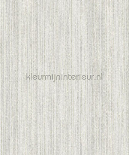 AS Creation The BOS 38819-4 | Bestellen bij https://www.kleurmijninterieur.nl/