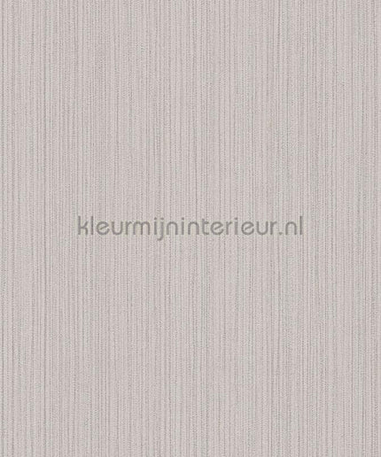AS Creation The BOS 38819-5 | Bestellen bij https://www.kleurmijninterieur.nl/