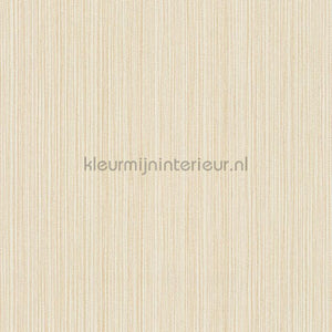 AS Creation The BOS 38819-8 | Bestellen bij https://www.kleurmijninterieur.nl/