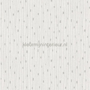 AS Creation The BOS 38822-1 | Bestellen bij https://www.kleurmijninterieur.nl/