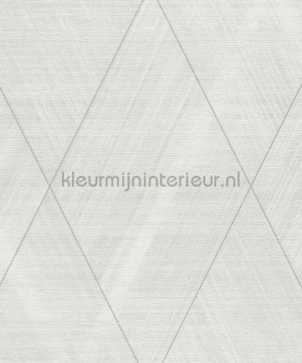 AS Creation The BOS 38824-3 | Bestellen bij https://www.kleurmijninterieur.nl/