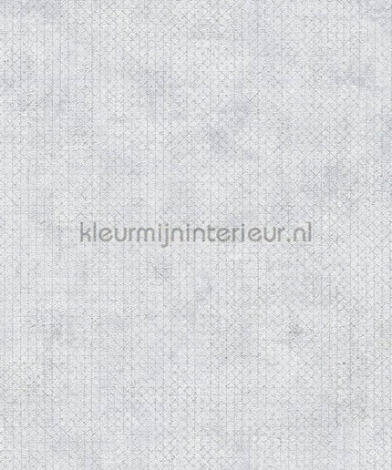 AS Creation The BOS 38826-1 | Bestellen bij https://www.kleurmijninterieur.nl/