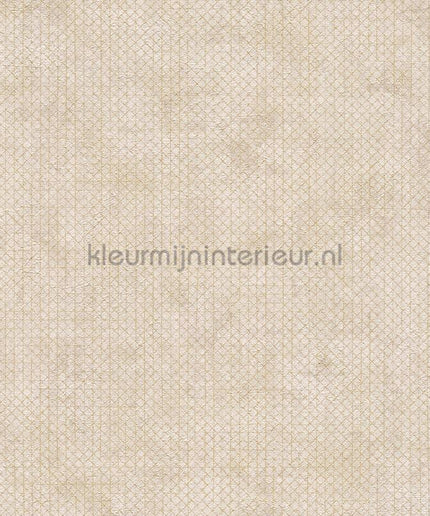 AS Creation The BOS 38826-2 | Bestellen bij https://www.kleurmijninterieur.nl/