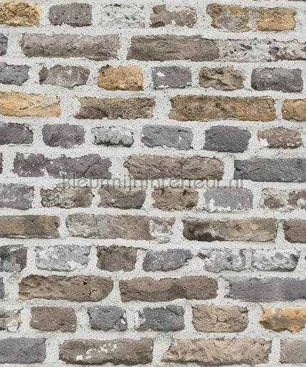 AS Creation The BOS 38829-2 | Bestellen bij https://www.kleurmijninterieur.nl/