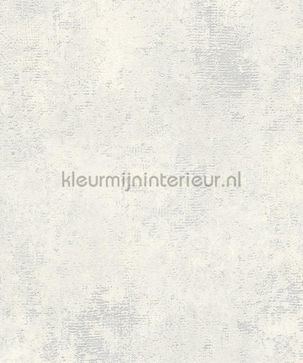 AS Creation The BOS 38832-9 | Bestellen bij https://www.kleurmijninterieur.nl/