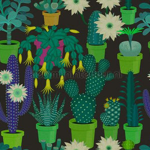 AS Creation Walls by Patel 2 dd114147 | Bestellen bij https://www.kleurmijninterieur.nl/