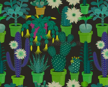AS Creation Walls by Patel 2 dd114147 | Bestellen bij https://www.kleurmijninterieur.nl/
