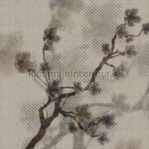 AS Creation Walls by Patel 2 dd114197 | Bestellen bij https://www.kleurmijninterieur.nl/