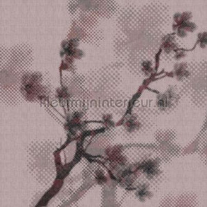 AS Creation Walls by Patel 2 dd114207 | Bestellen bij https://www.kleurmijninterieur.nl/