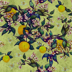 AS Creation Walls by Patel 2 dd114257 | Bestellen bij https://www.kleurmijninterieur.nl/