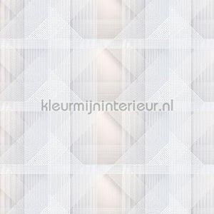 AS Creation Walls by Patel 2 dd114382 | Bestellen bij https://www.kleurmijninterieur.nl/