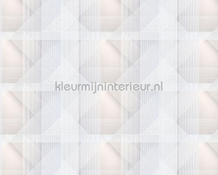 AS Creation Walls by Patel 2 dd114382 | Bestellen bij https://www.kleurmijninterieur.nl/