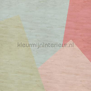 AS Creation Walls by Patel 2 dd114607 | Bestellen bij https://www.kleurmijninterieur.nl/