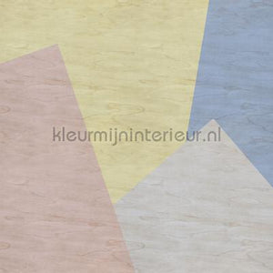 AS Creation Walls by Patel 2 dd114612 | Bestellen bij https://www.kleurmijninterieur.nl/