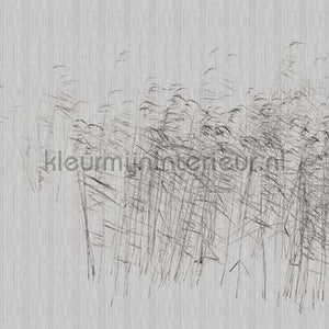 AS Creation Walls by Patel 3 DD122056 | Bestellen bij https://www.kleurmijninterieur.nl/