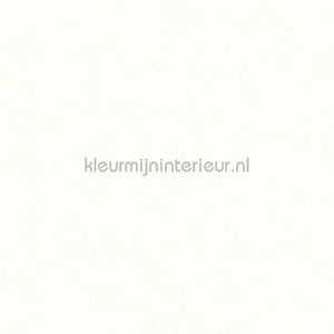 Hookedonwalls Caribbean 27251 | Bestellen bij https://www.kleurmijninterieur.nl/