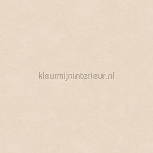 Hookedonwalls Caribbean 27252 | Bestellen bij https://www.kleurmijninterieur.nl/