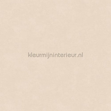 Hookedonwalls Caribbean 27252 | Bestellen bij https://www.kleurmijninterieur.nl/