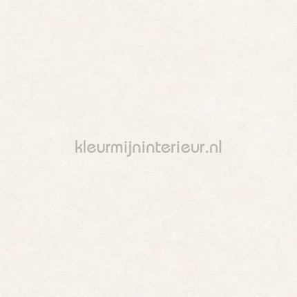 Hookedonwalls Caribbean 27254 | Bestellen bij https://www.kleurmijninterieur.nl/