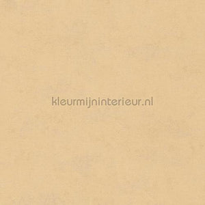 Hookedonwalls Caribbean 27259 | Bestellen bij https://www.kleurmijninterieur.nl/