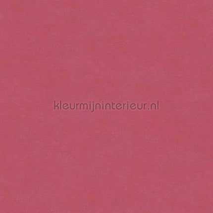 Hookedonwalls Caribbean 27272 | Bestellen bij https://www.kleurmijninterieur.nl/