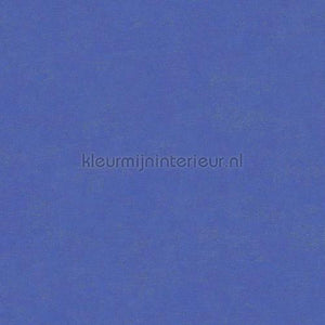 Hookedonwalls Caribbean 27281 | Bestellen bij https://www.kleurmijninterieur.nl/