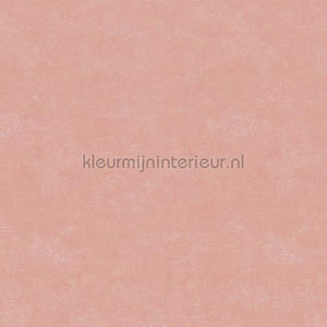 Hookedonwalls Caribbean 27288 | Bestellen bij https://www.kleurmijninterieur.nl/