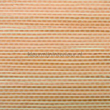 Rodeka Innovations 30-004 | Bestellen bij https://www.kleurmijninterieur.nl/